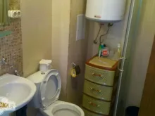 Miniaturka