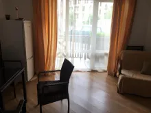 Miniaturka