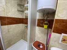 Miniaturka