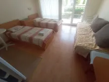 Miniaturka