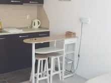 Miniaturka