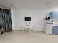 Miniaturka