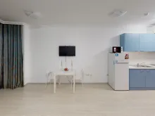 Miniaturka