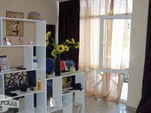 Miniaturka