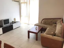 Miniaturka
