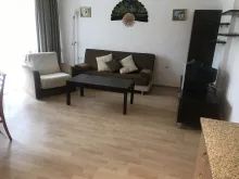 Miniaturka