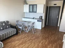Miniaturka