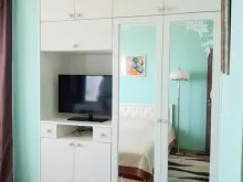 Miniaturka