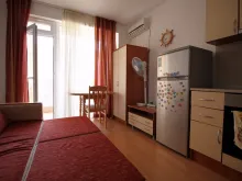 Miniaturka