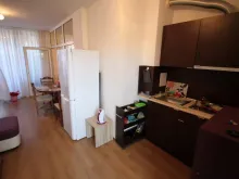 Miniaturka