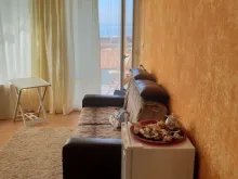 Miniaturka