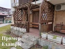 Miniaturka