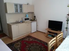 Miniaturka