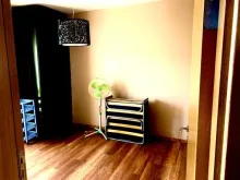 Miniaturka