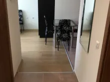 Miniaturka