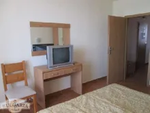 Miniaturka