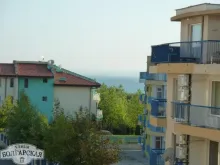 Miniaturka