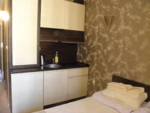 Miniaturka