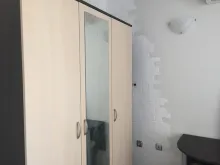 Miniaturka