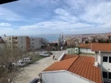 Miniaturka