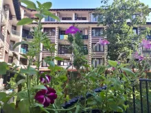 Miniaturka