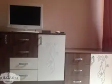 Miniaturka