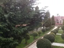 Miniaturka