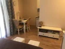 Miniaturka