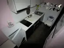 Miniaturka