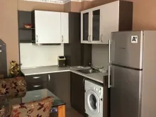 Miniaturka