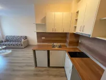Miniaturka