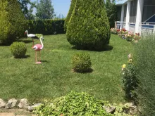 Miniaturka