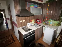 Miniaturka