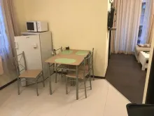 Miniaturka