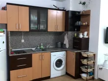 Miniaturka