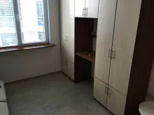 Miniaturka