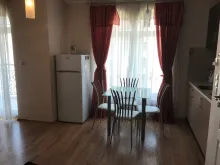Miniaturka