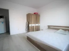Miniaturka