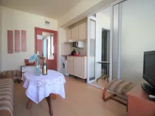 Miniaturka