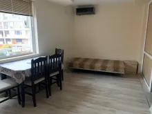 Miniaturka