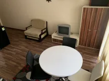 Miniaturka