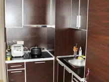 Miniaturka