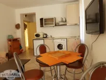 Miniaturka
