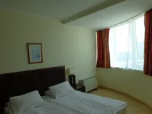 Miniaturka