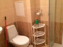 Miniaturka
