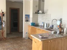 Miniaturka