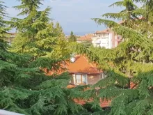 Miniaturka