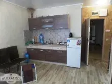 Miniaturka