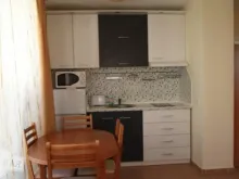Miniaturka