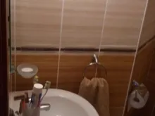 Miniaturka